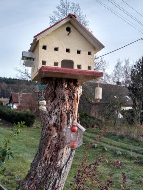 Pension Novy Den Albrechtice  Esterno foto