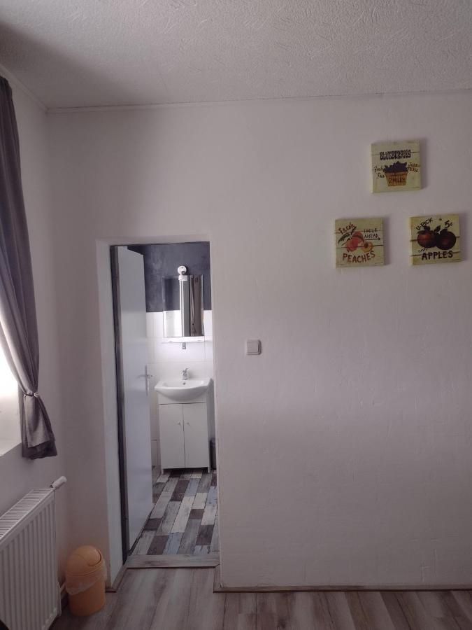 Pension Novy Den Albrechtice  Esterno foto