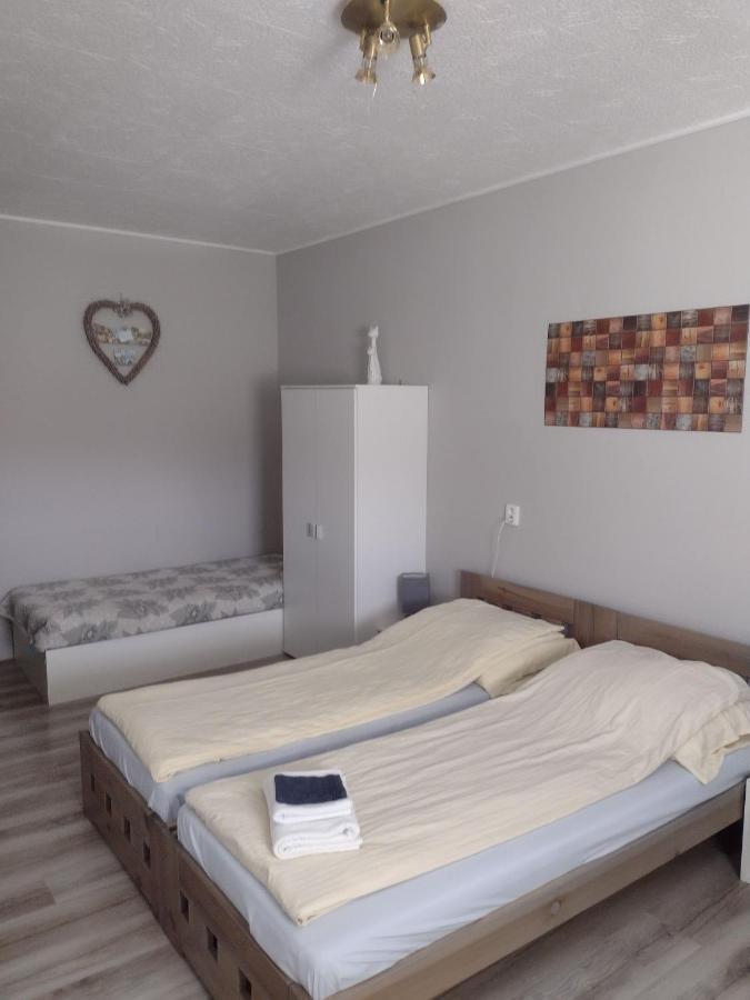 Pension Novy Den Albrechtice  Esterno foto