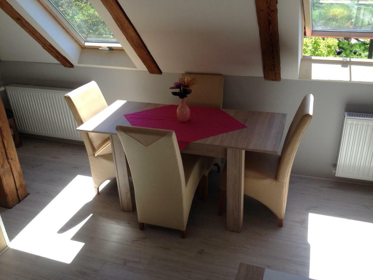 Pension Novy Den Albrechtice  Esterno foto