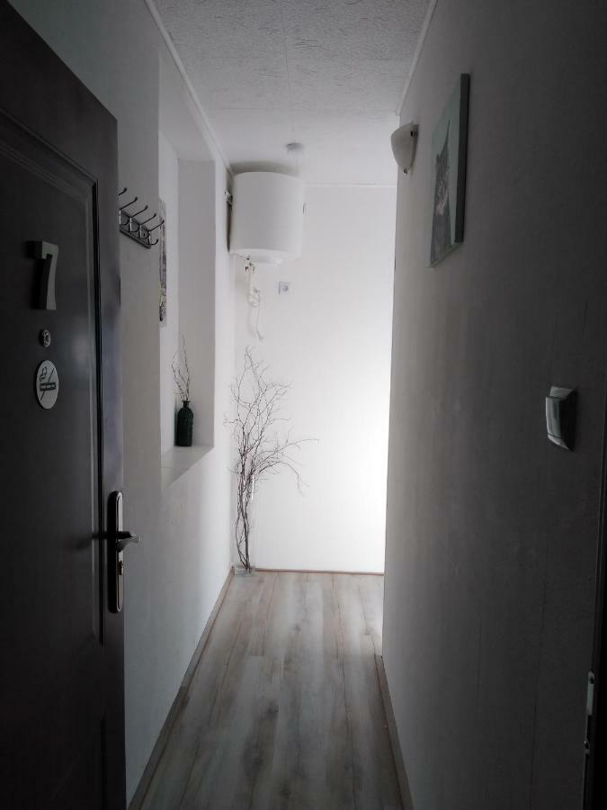Pension Novy Den Albrechtice  Esterno foto