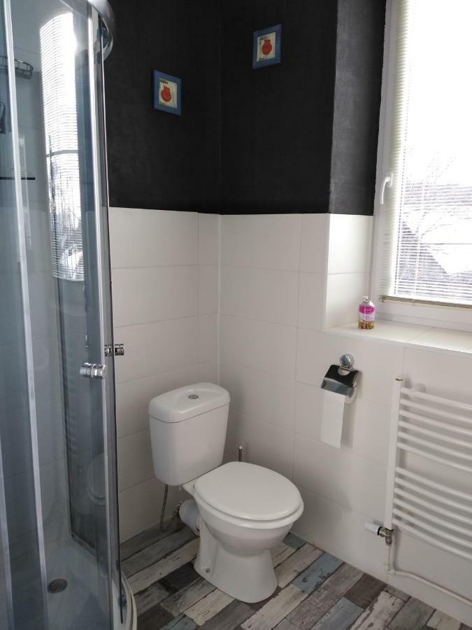 Pension Novy Den Albrechtice  Esterno foto